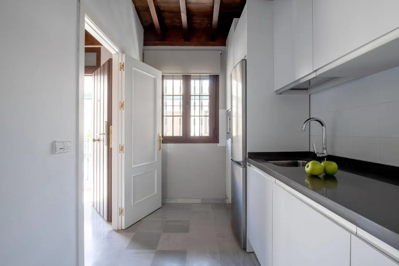 Triana Boutique Apartments By Hommyhome Seville 0*,